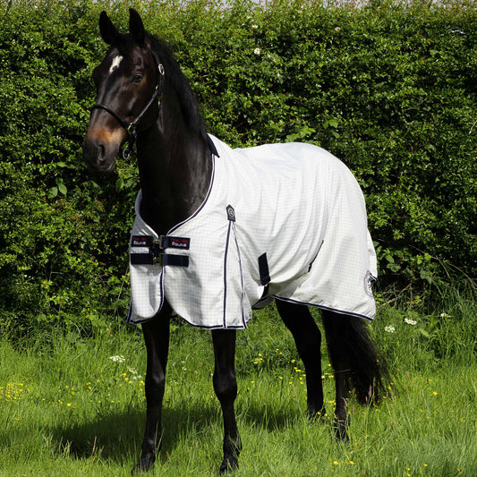 Chemise d’écurie coton Cotone Originale