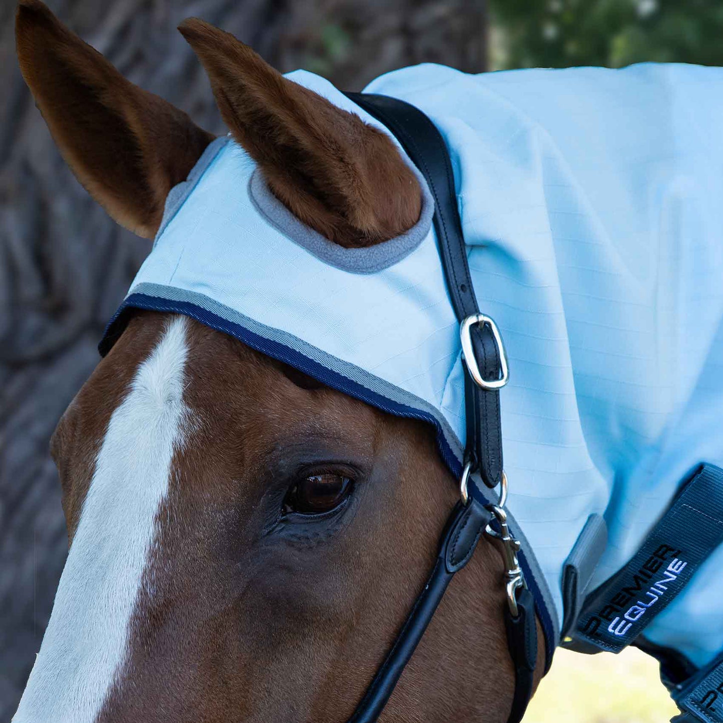 Couverture Anti-Mouches Premier Equine Buster Sweet Itch – Protection UV 1000D Ripstop, Confort et Durabilité
