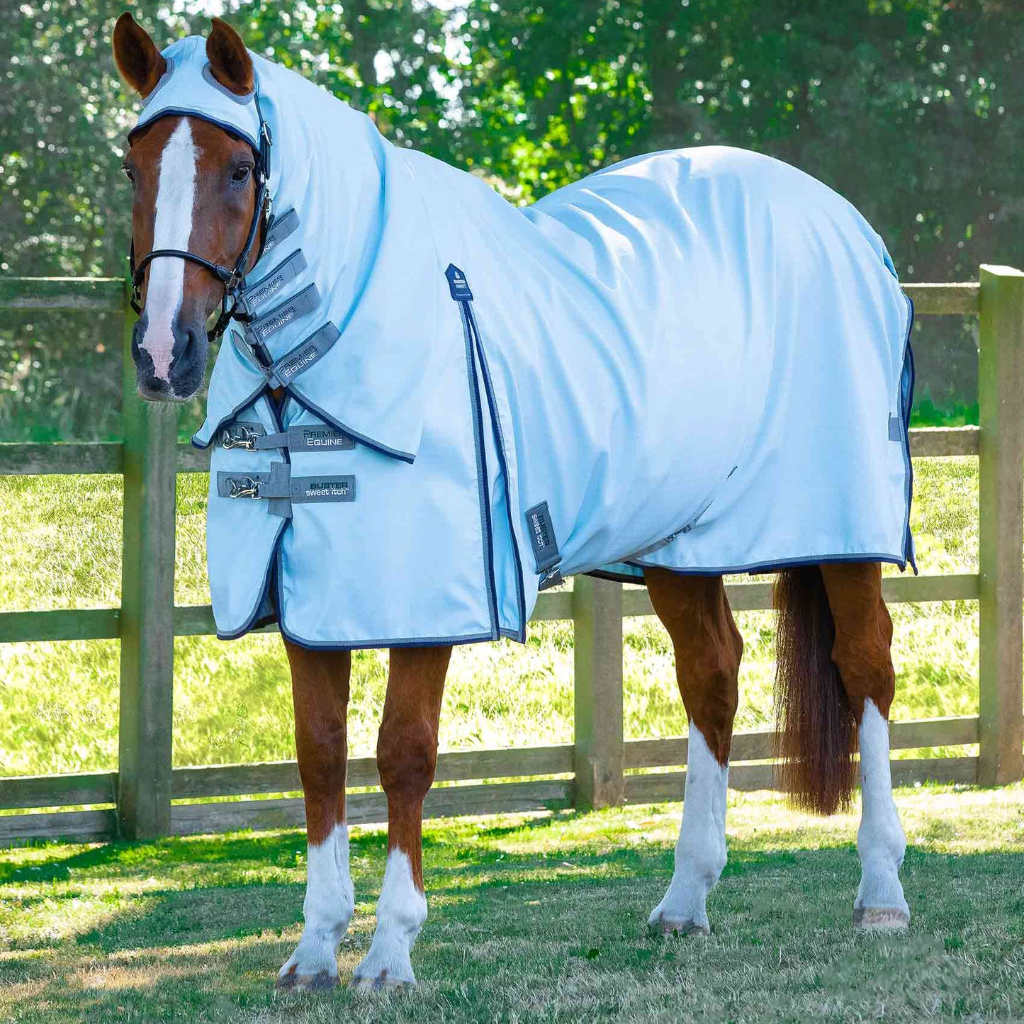 Couverture Anti-Mouches Premier Equine Buster Sweet Itch – Protection UV 1000D Ripstop, Confort et Durabilité