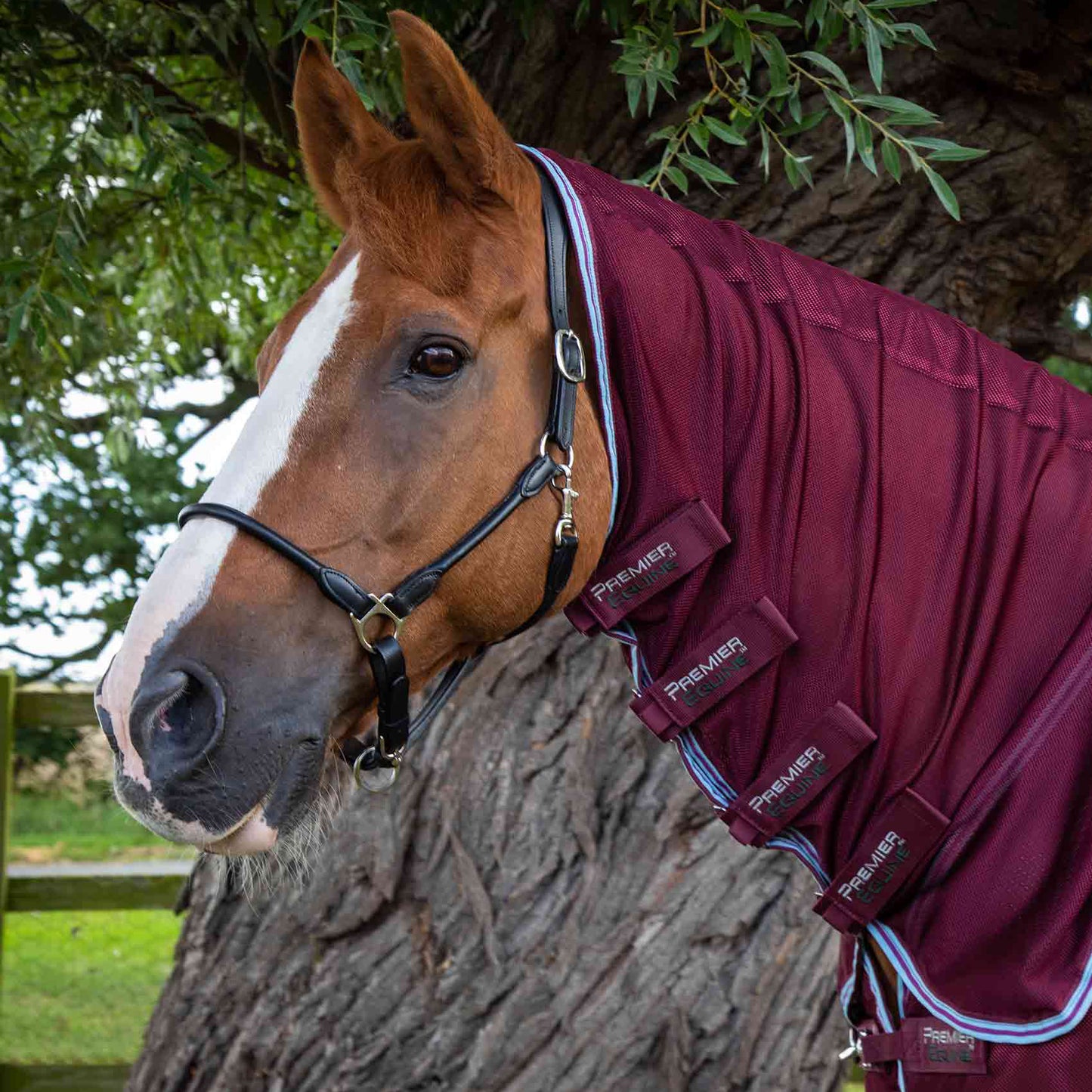 Couverture Anti-Mouches Premier Equine Combo Mesh Air – Respirante, Protection UV et Liberté de Mouvement