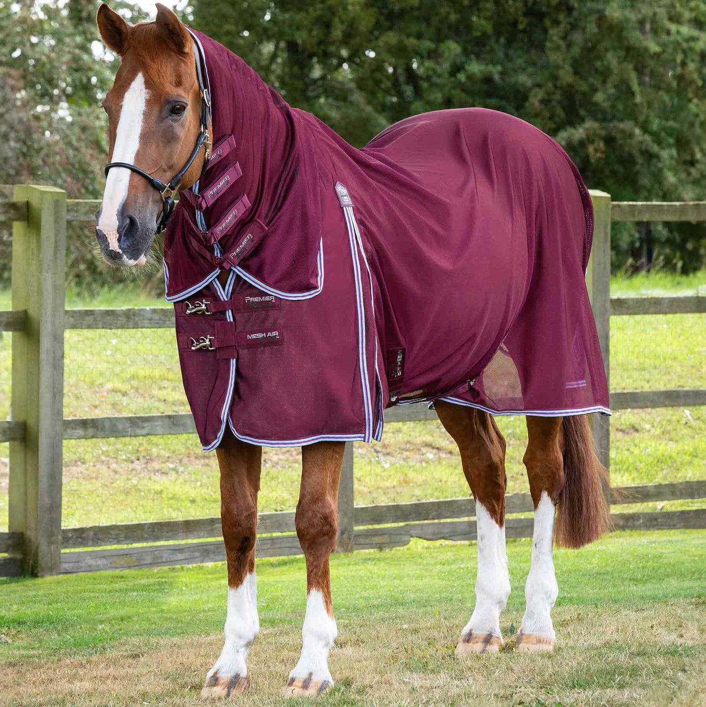 Couverture Anti-Mouches Premier Equine Combo Mesh Air – Respirante, Protection UV et Liberté de Mouvement