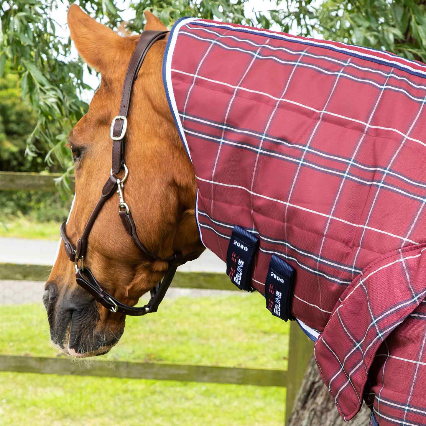 Couverture d’Écurie Domus 200g avec Couvre-Cou Intégré | Premier Equine Polypropylène 1200D