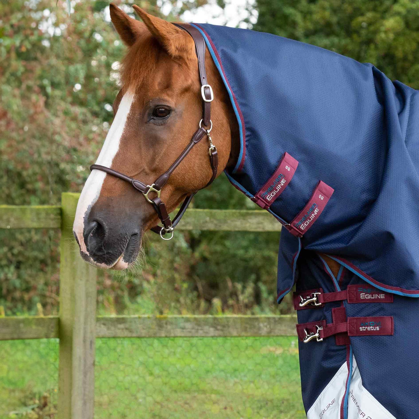Couverture Akoni 0g avec Couvre-Cou Imperméable Polyester 600D Respirante | Premier Equine