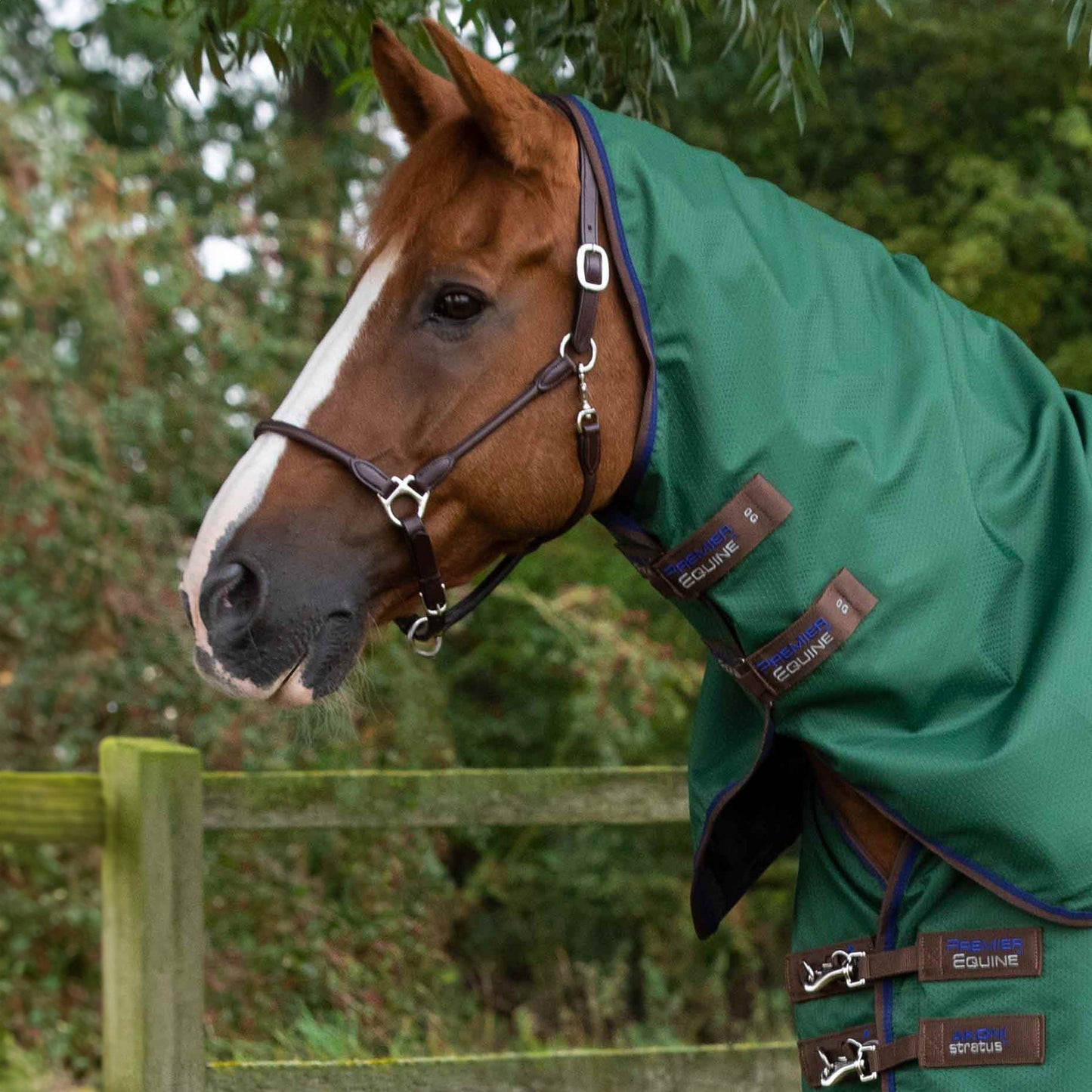 Couverture Akoni 0g avec Couvre-Cou Imperméable Polyester 600D Respirante | Premier Equine