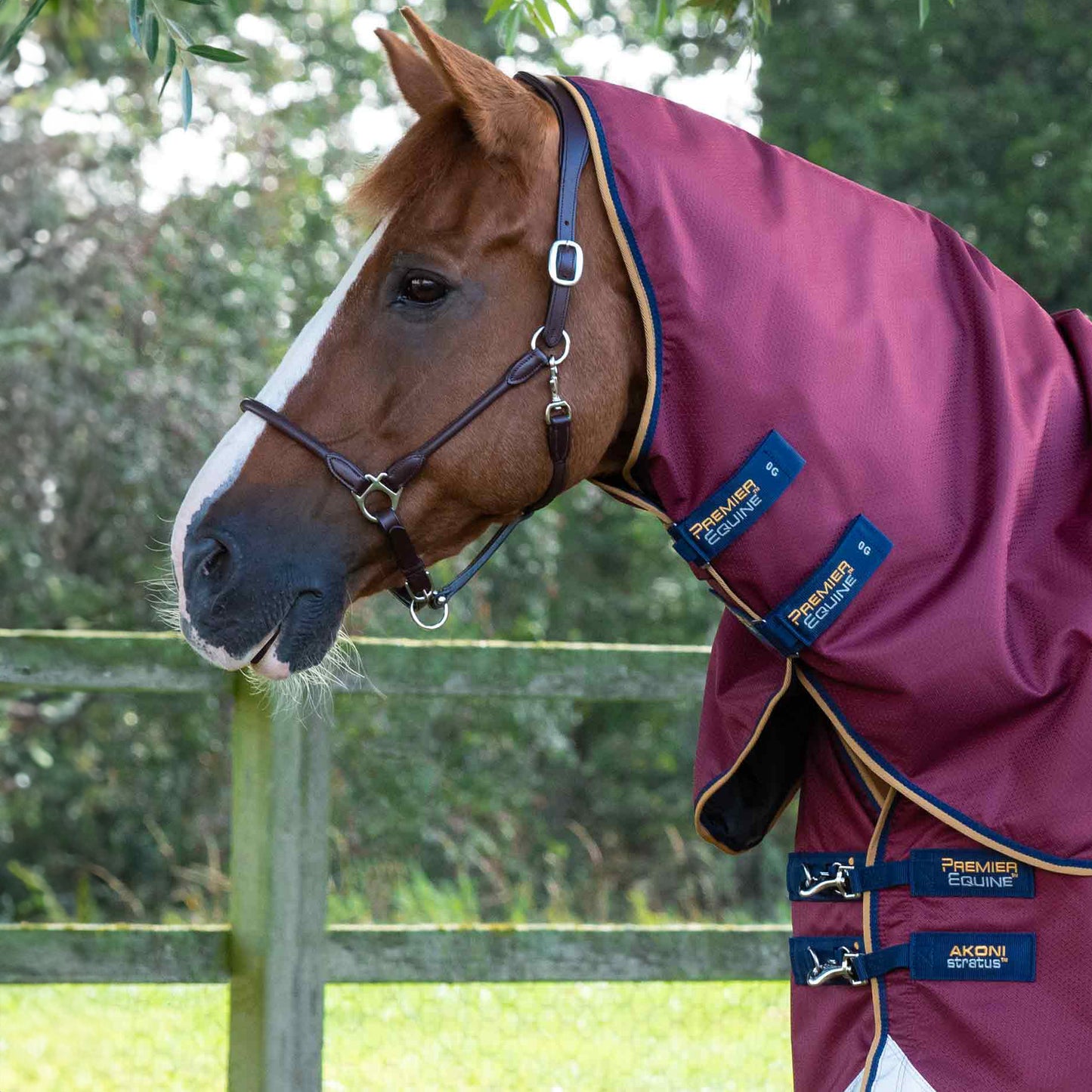 Couverture Akoni 0g avec Couvre-Cou Imperméable Polyester 600D Respirante | Premier Equine