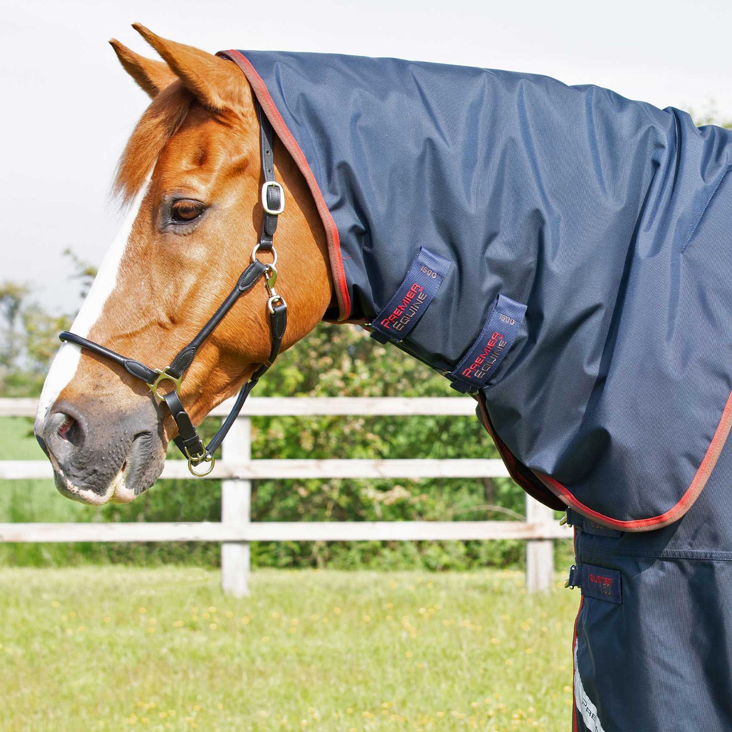 Couverture Buster 150g Nylon Balistique 840D Imperméable avec Couvre-Cou | Premier Equine
