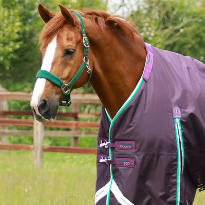 Couverture Buster 200g Imperméable Nylon Balistique 840D avec Couvre-Cou Snug-Fit | Premier Equine