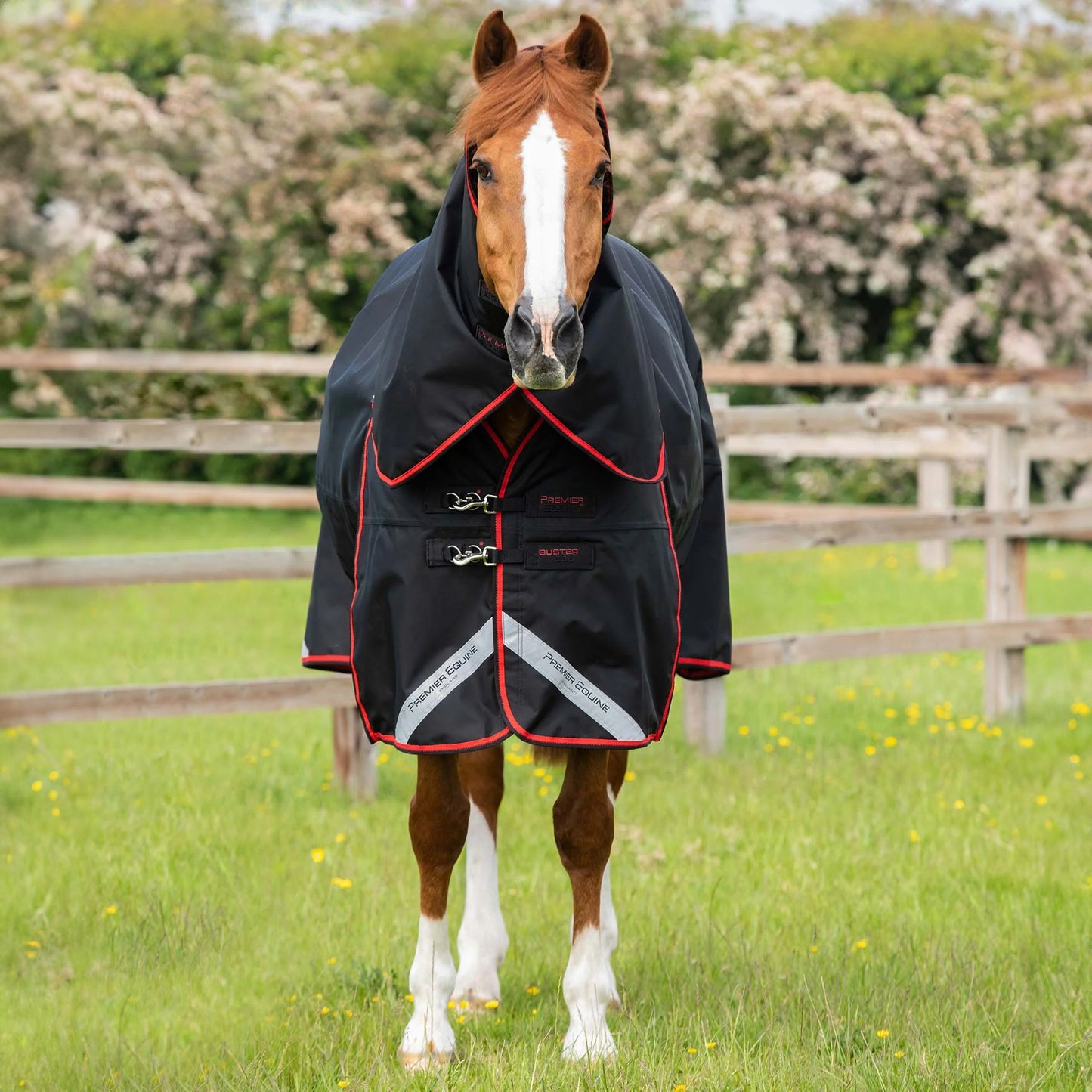 Couverture Buster 250g Imperméable Nylon Balistique 840D avec Couvre-Cou | Premier Equine