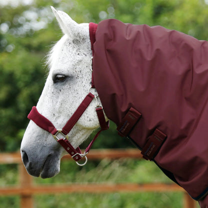 Couverture Buster 400g Imperméable Nylon 840D avec Couvre-Cou | Premier Equine