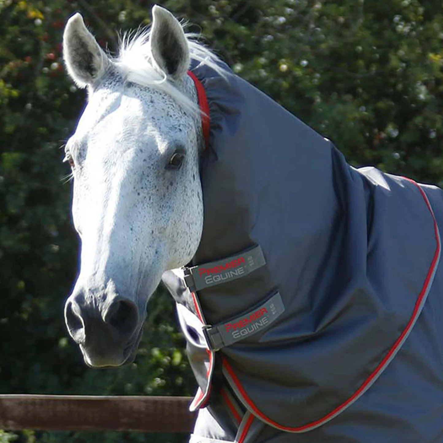 Couverture Buster 50g Nylon Balistique 840D Imperméable avec Couvre-Cou | Premier Equine