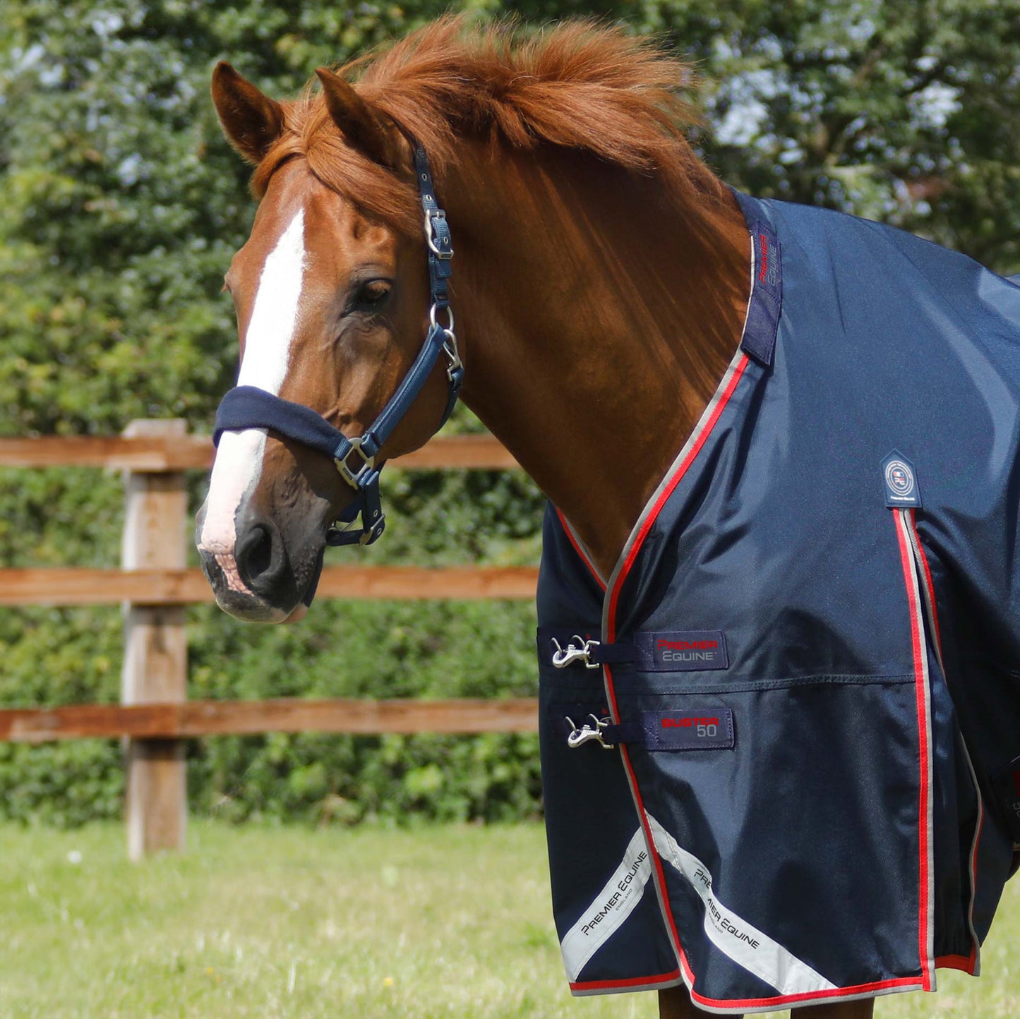Couverture Buster 50g Nylon Balistique 840D Imperméable avec Couvre-Cou | Premier Equine