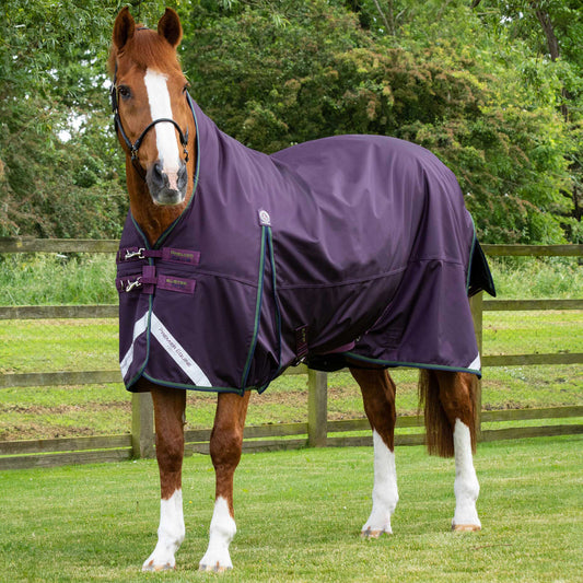 Couverture Cheval Buster Hardy 100g Demi-Cou – Imperméable et Chaude