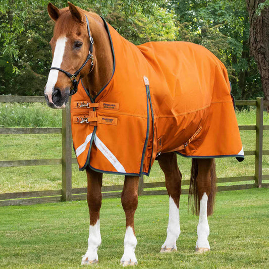 Couverture Cheval Buster Hardy 400g Demi-Cou - Premier Equine