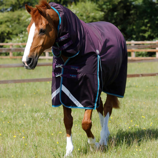 Couverture Buster Storm 100g Imperméable Nylon Balistique 840D avec Couvre-Cou | Premier Equine