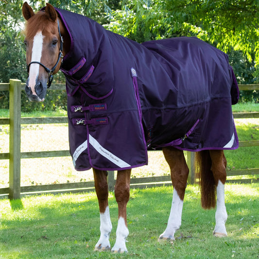 Couverture Buster Storm 420g Combo Imperméable Nylon Balistique 840D avec Couvre-Cou | Premier Equine