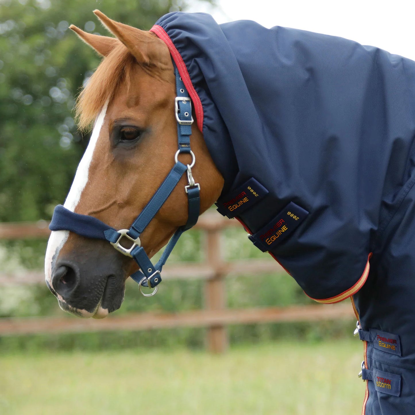 Couverture Titan Storm 450g Premier Equine avec Couvre-Cou – Ultra Chaleur Cheval