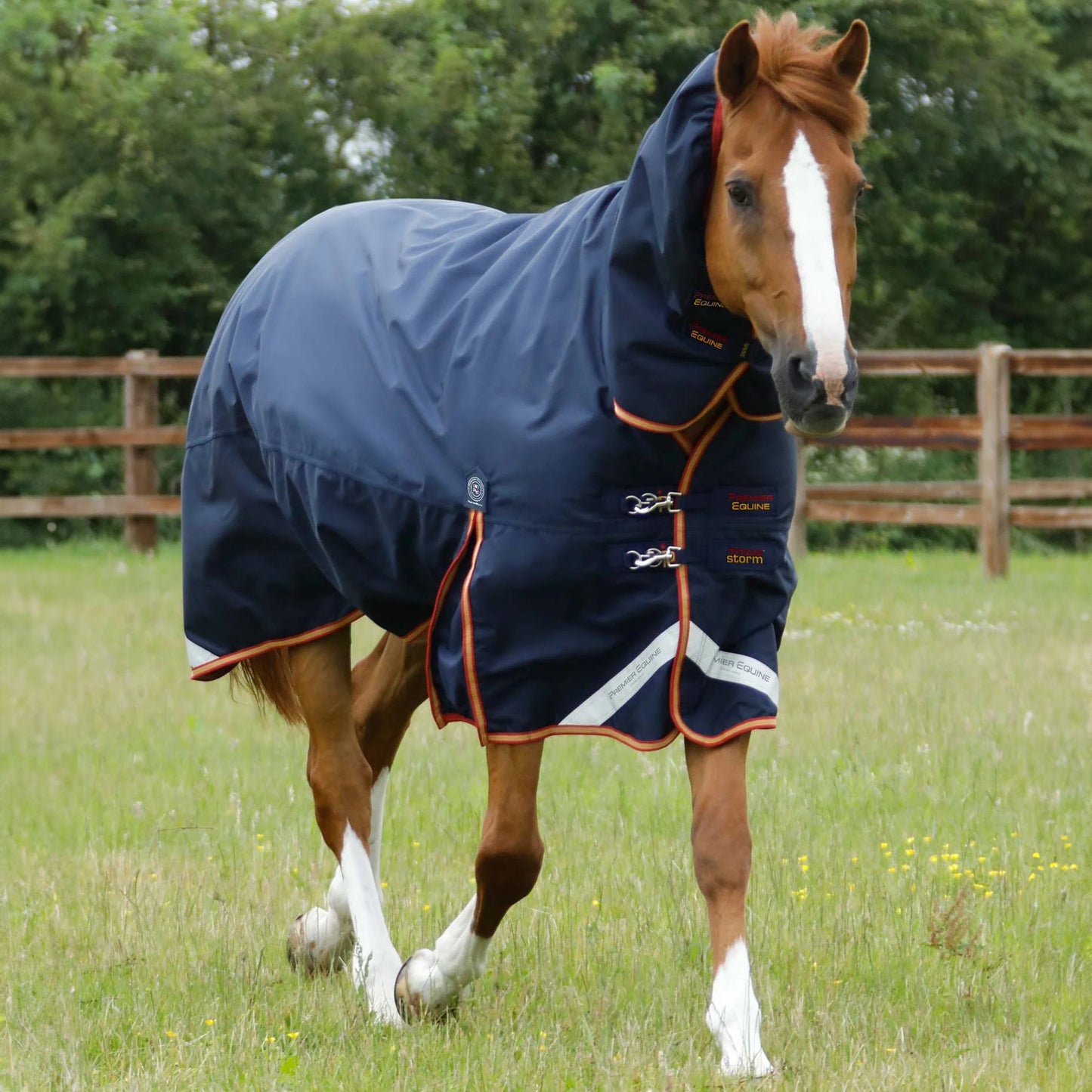 Couverture Titan Storm 450g Premier Equine avec Couvre-Cou – Ultra Chaleur Cheval