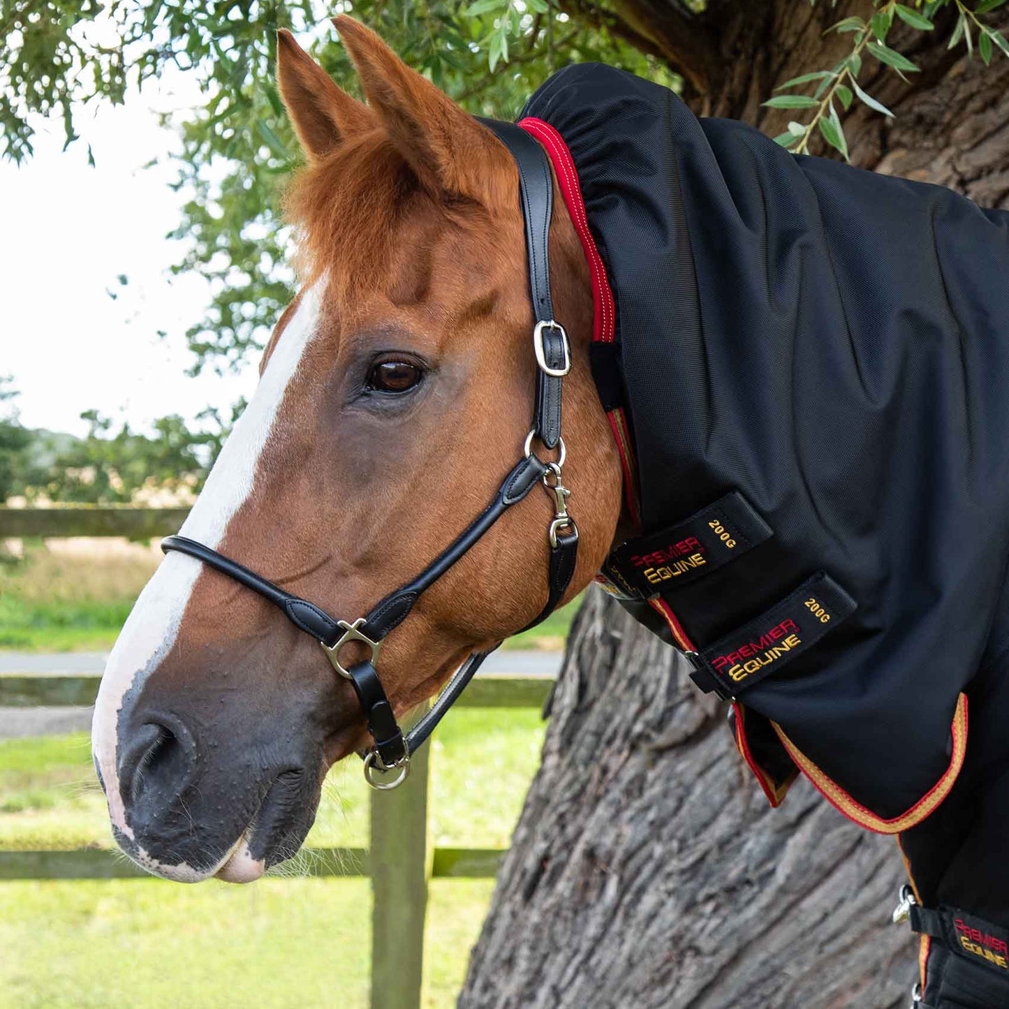 Couverture Titan Storm 450g Premier Equine avec Couvre-Cou – Ultra Chaleur Cheval