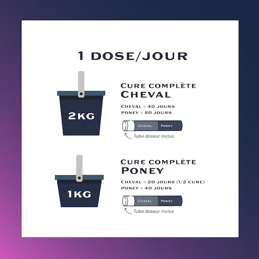 Equi-Articulo+ – Complément naturel pour articulations chevaux – Arthrose & douleurs - Equimojo
