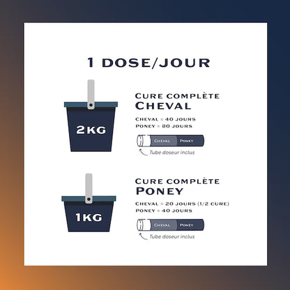 Equi-Booster+ – Complément naturel énergie et récupération pour chevaux - Equimojo