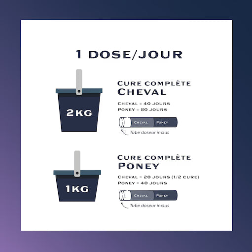 Equi-Draino+ – Complément naturel détoxification foie et digestion cheval - Equimojo