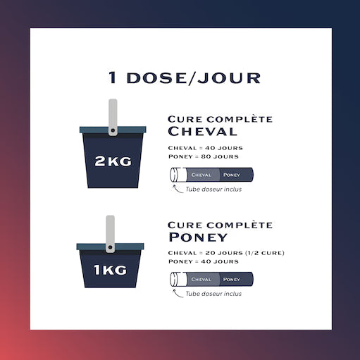 Equi-Musculo+ – Complément naturel pour force et récupération musculaire cheval - Equimojo
