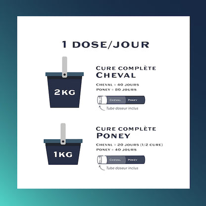Equi-Respiro+ – Complément naturel cheval pour troubles respiratoires et toux - Equimojo