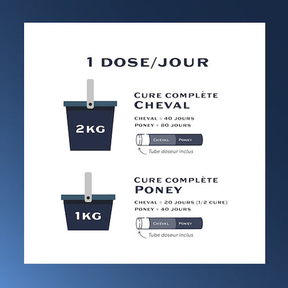 Equi-Ulcero+ – Complément naturel pour ulcères gastriques et troubles digestifs du cheval - Equimojo