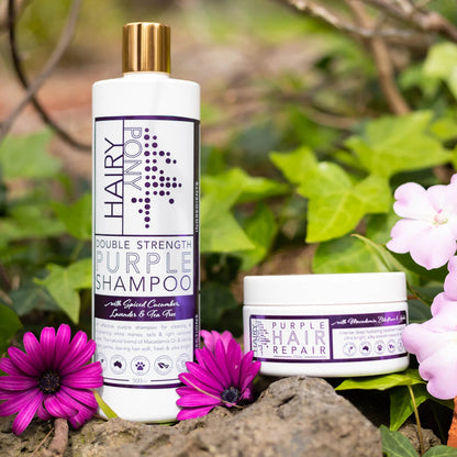 Shampooing Violet Double Force