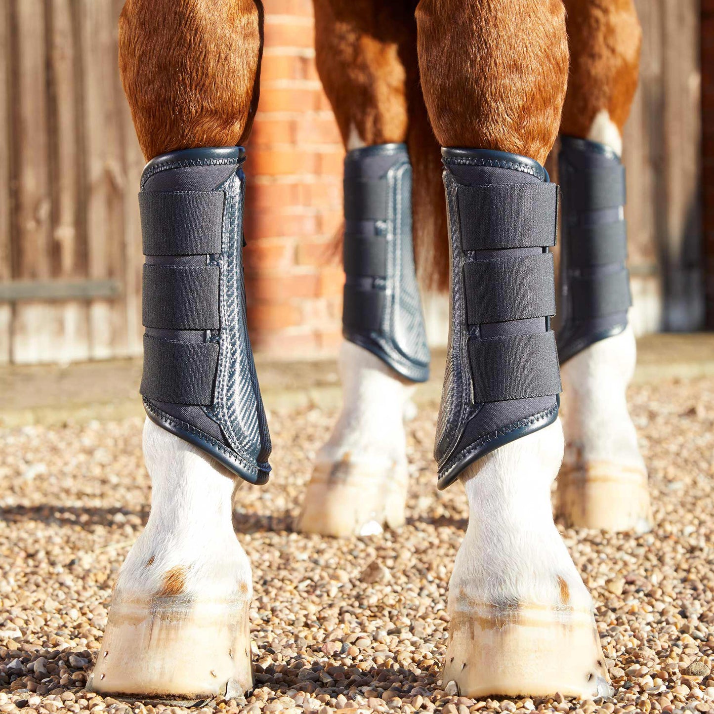 Guêtres de Dressage Premier Equine Carbon Air-Tech – Protection Ventilée à Fermeture Simple