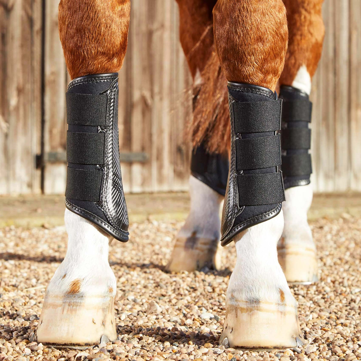 Guêtres de Dressage Premier Equine Carbon Air-Tech – Protection Ventilée à Fermeture Simple
