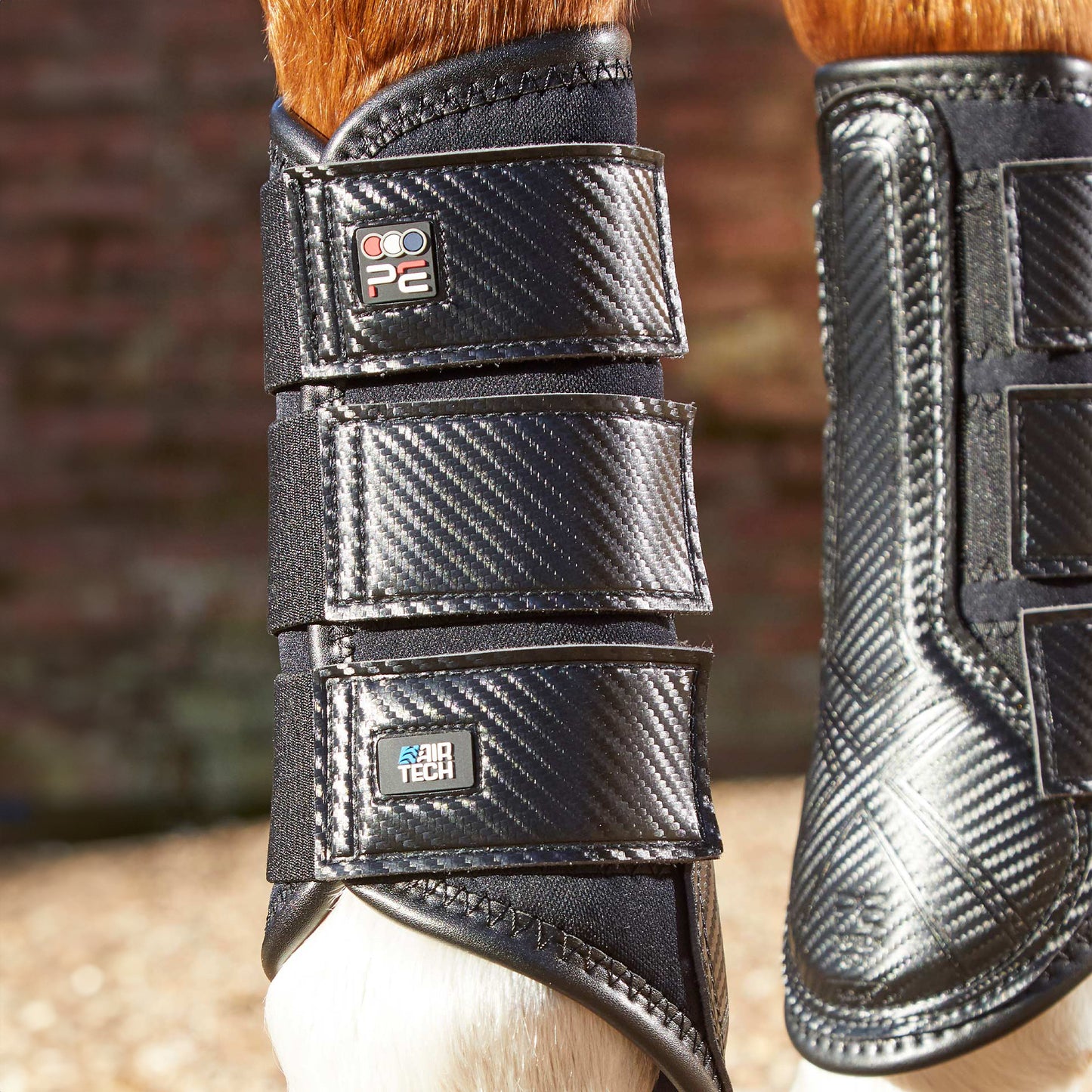 Guêtres de Dressage Premier Equine Carbon Air-Tech – Protection Ventilée à Fermeture Simple