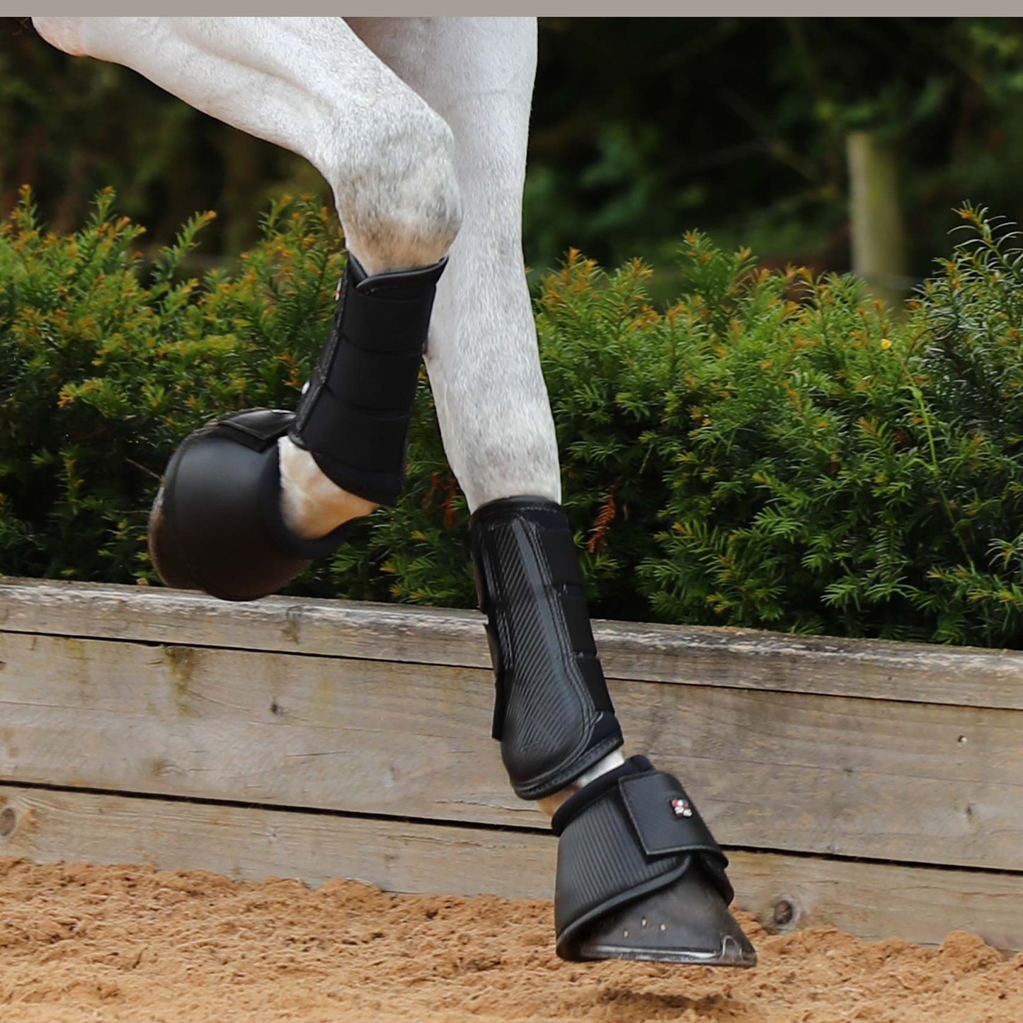 Guêtres de Dressage Premier Equine Carbon Air-Tech – Protection Ventilée à Fermeture Simple