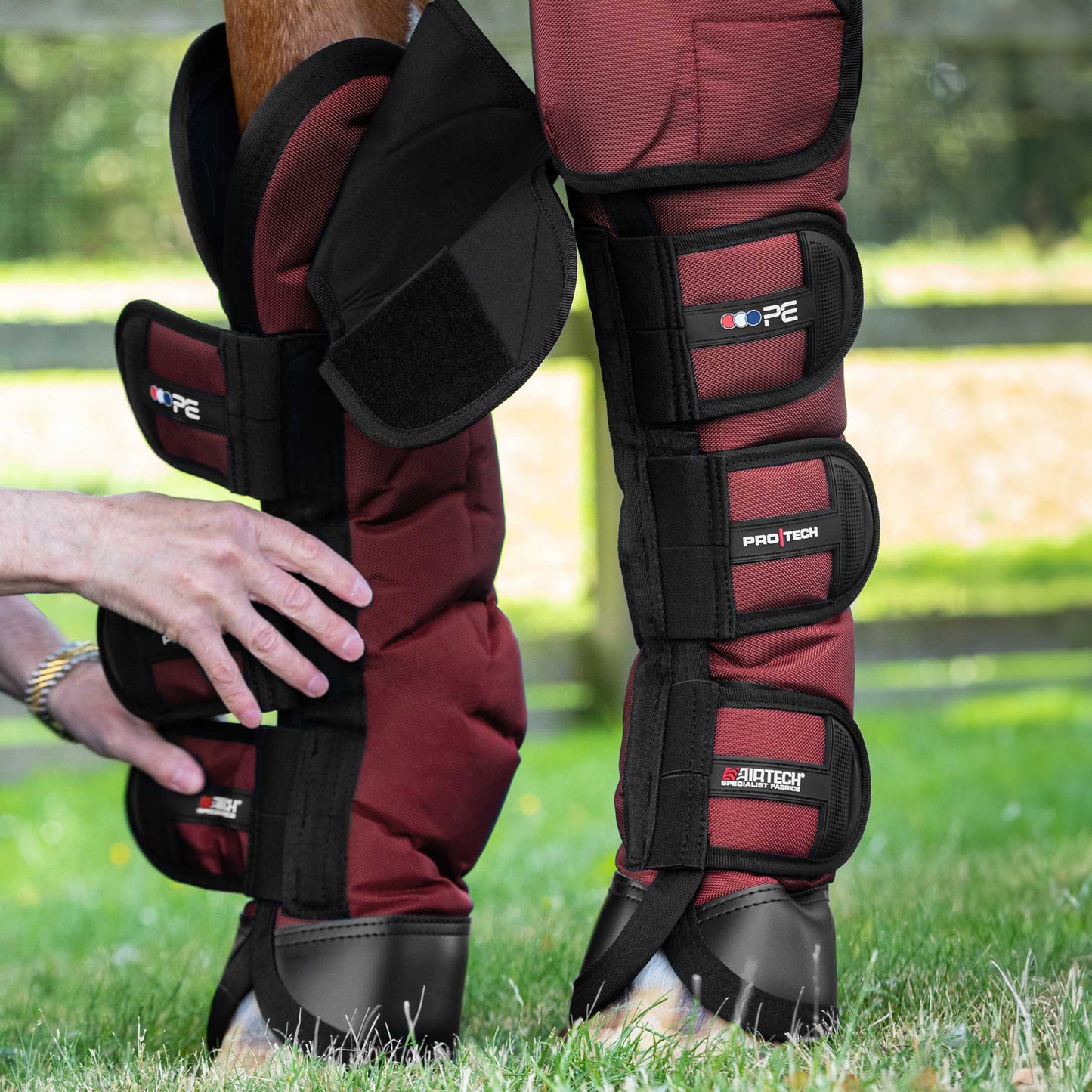 Guêtres de Transport Ballistic Knee Pro-Tech Premier Equine – Protection Renforcée et Confort
