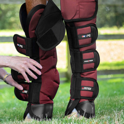 Guêtres de Transport Ballistic Knee Pro-Tech Premier Equine – Protection Renforcée et Confort