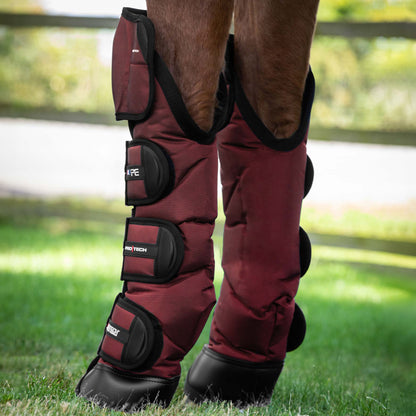 Guêtres de Transport Ballistic Knee Pro-Tech Premier Equine – Protection Renforcée et Confort