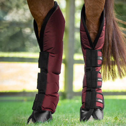 Guêtres de Transport Ballistic Knee Pro-Tech Premier Equine – Protection Renforcée et Confort
