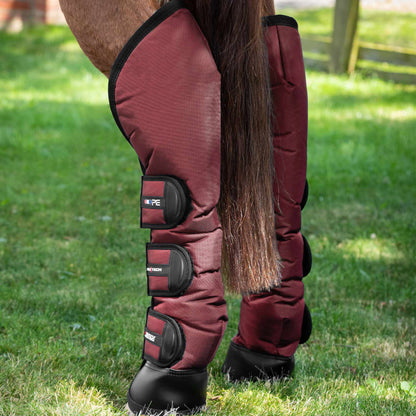 Guêtres de Transport Ballistic Knee Pro-Tech Premier Equine – Protection Renforcée et Confort