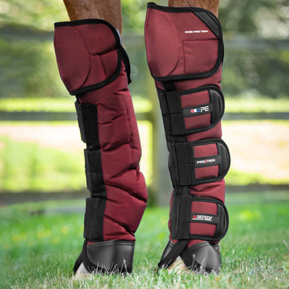 Guêtres de Transport Ballistic Knee Pro-Tech Premier Equine – Protection Renforcée et Confort