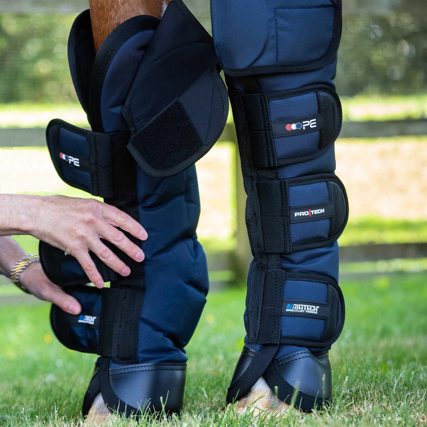 Guêtres de Transport Ballistic Knee Pro-Tech Premier Equine – Protection Renforcée et Confort