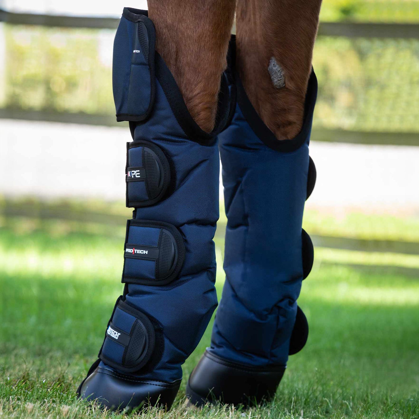 Guêtres de Transport Ballistic Knee Pro-Tech Premier Equine – Protection Renforcée et Confort