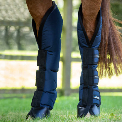 Guêtres de Transport Ballistic Knee Pro-Tech Premier Equine – Protection Renforcée et Confort