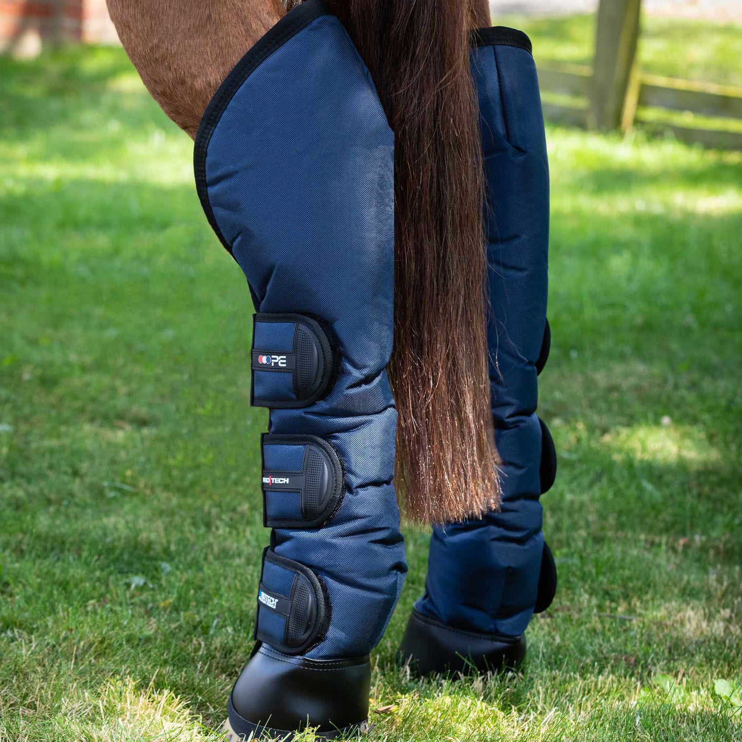 Guêtres de Transport Ballistic Knee Pro-Tech Premier Equine – Protection Renforcée et Confort