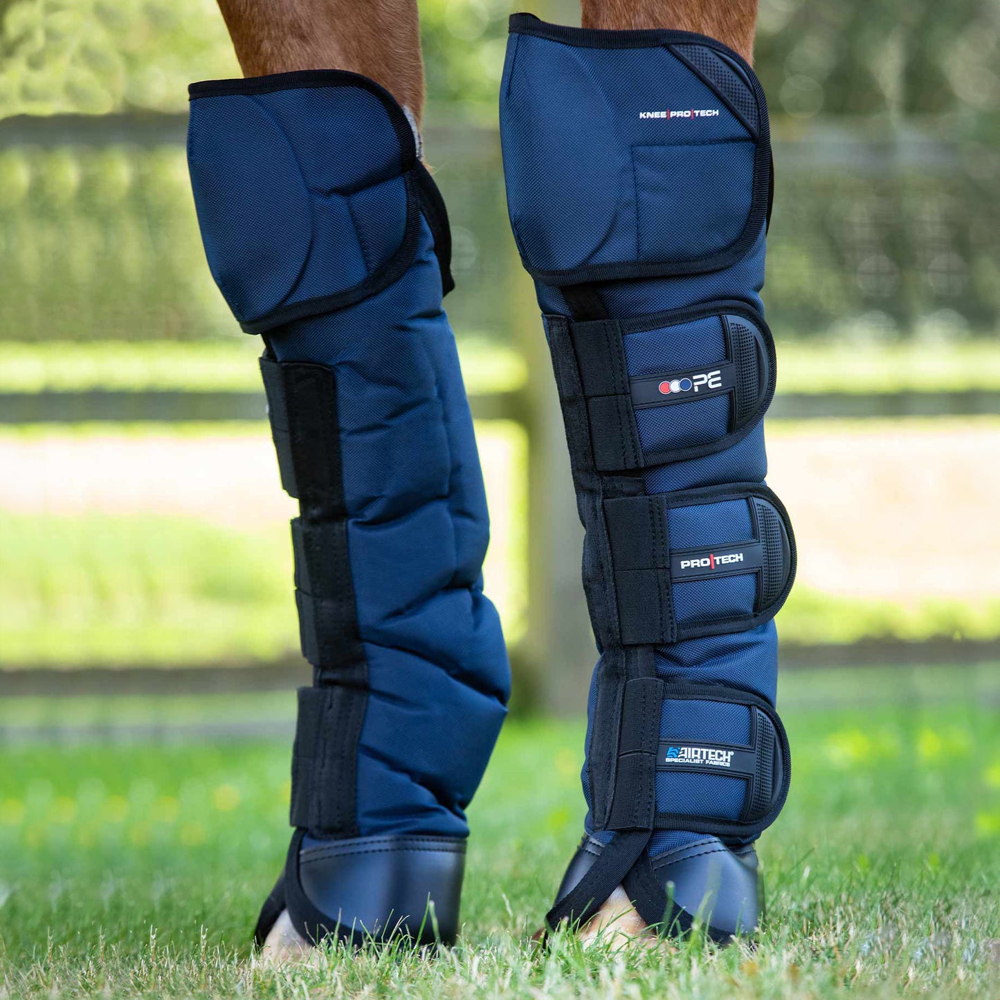 Guêtres de Transport Ballistic Knee Pro-Tech Premier Equine – Protection Renforcée et Confort