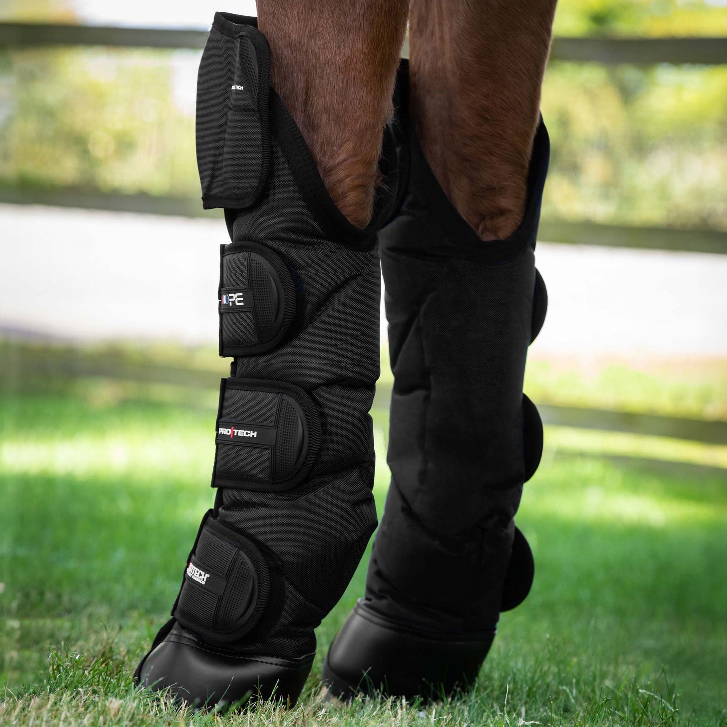 Guêtres de Transport Ballistic Knee Pro-Tech Premier Equine – Protection Renforcée et Confort