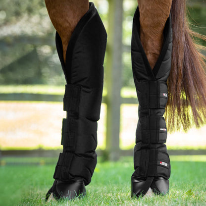 Guêtres de Transport Ballistic Knee Pro-Tech Premier Equine – Protection Renforcée et Confort