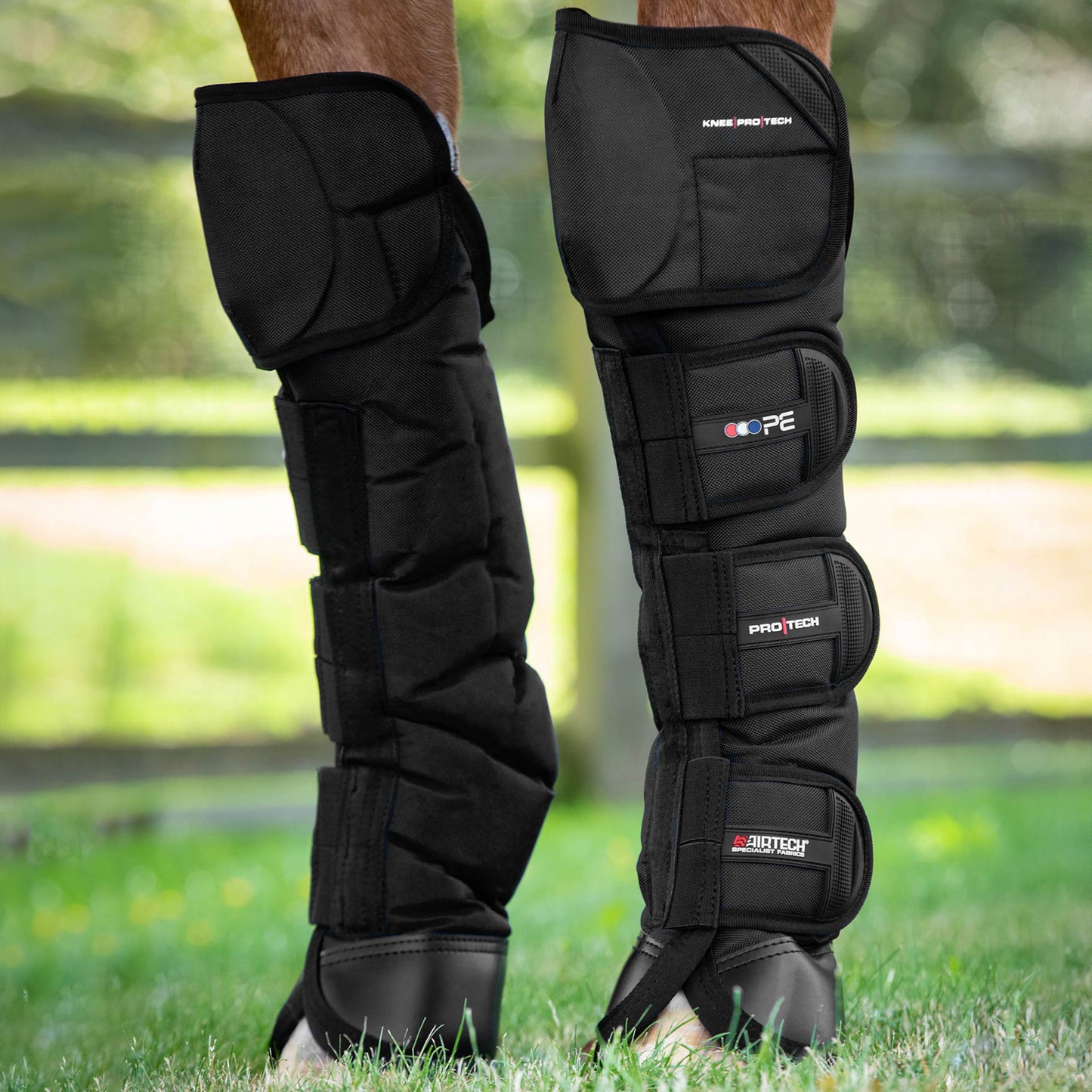 Guêtres de Transport Ballistic Knee Pro-Tech Premier Equine – Protection Renforcée et Confort