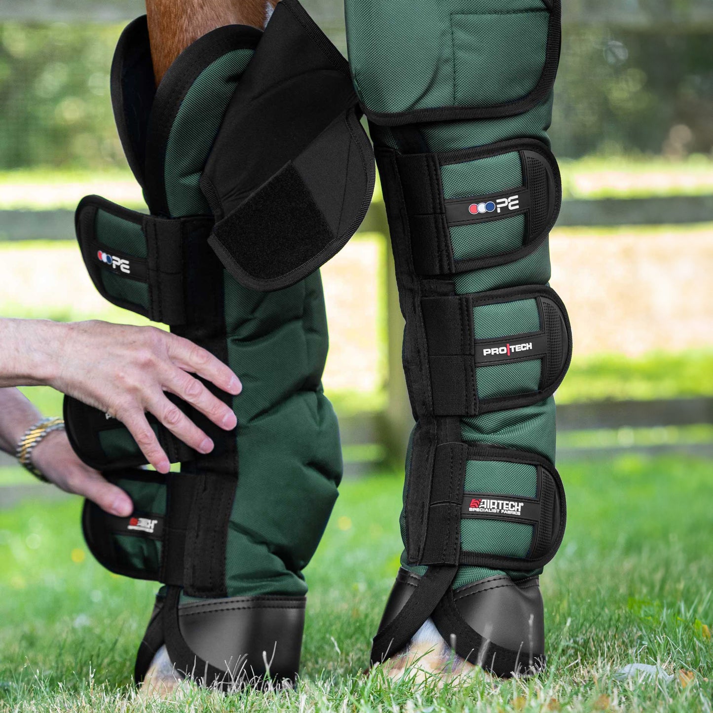 Guêtres de Transport Ballistic Knee Pro-Tech Premier Equine – Protection Renforcée et Confort