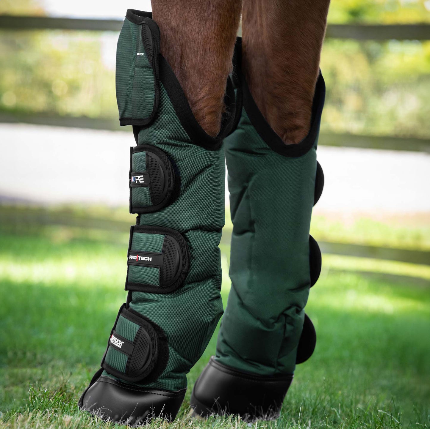Guêtres de Transport Ballistic Knee Pro-Tech Premier Equine – Protection Renforcée et Confort