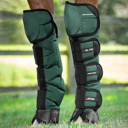 Guêtres de Transport Ballistic Knee Pro-Tech Premier Equine – Protection Renforcée et Confort